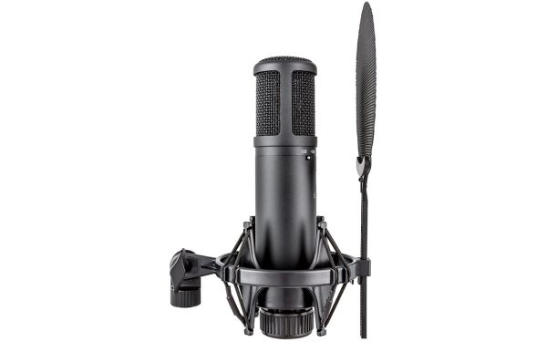 sE Electronics sE2200 Large-diaphragm Condenser Microphone - Image 3